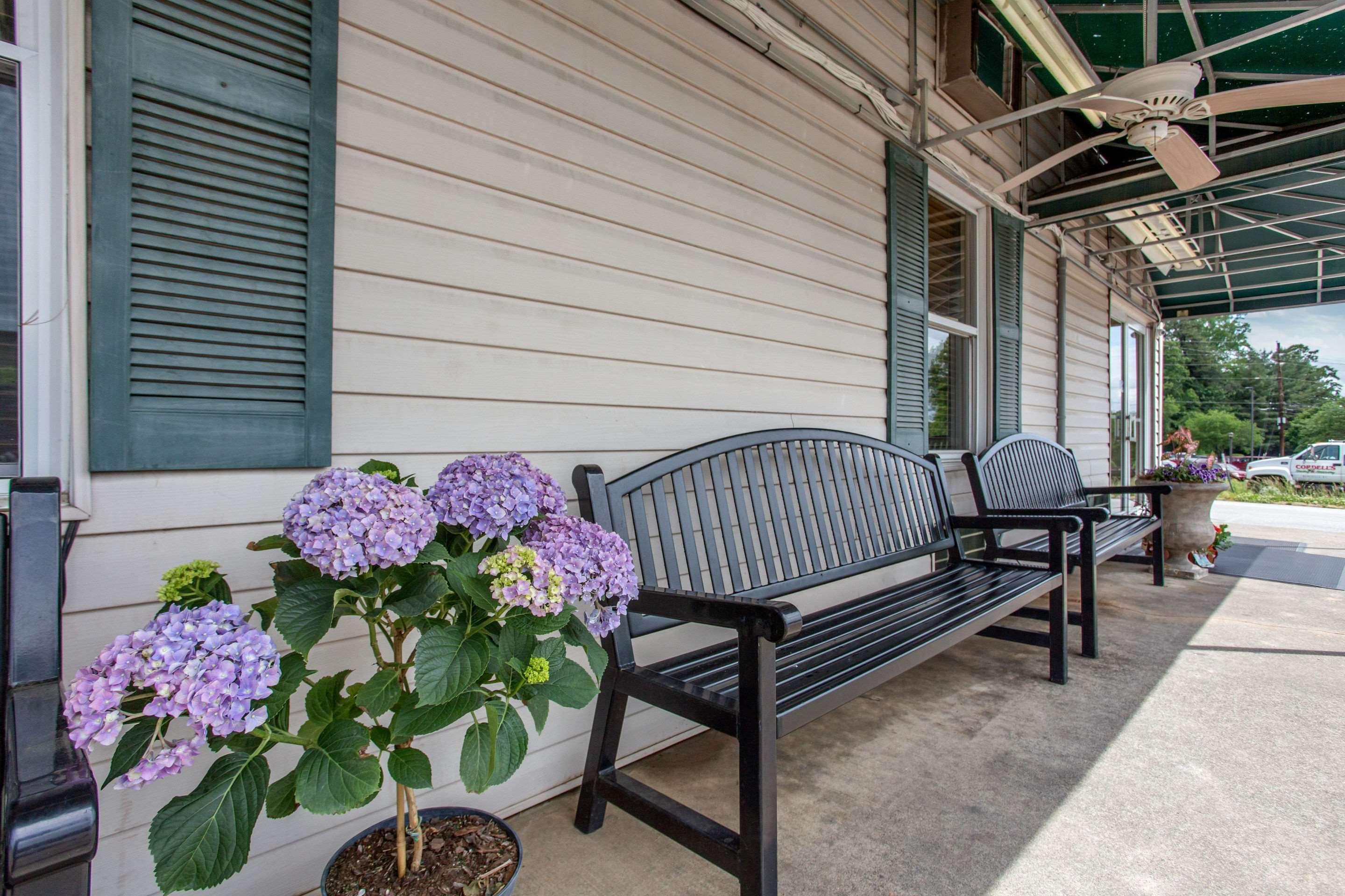Rodeway Inn Asheville Dış mekan fotoğraf